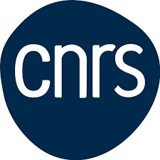 Logo 1
